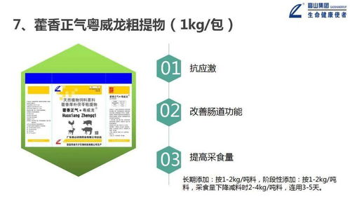 大力推進(jìn)一體化形象服務(wù)體系建設(shè)，推動高山中獸藥向更高水平發(fā)展——信息系統(tǒng)運(yùn)行維護(hù)服務(wù)篇